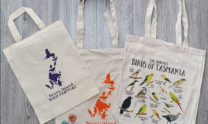 Bruny Island Bird Festival Moved to March 2022 7