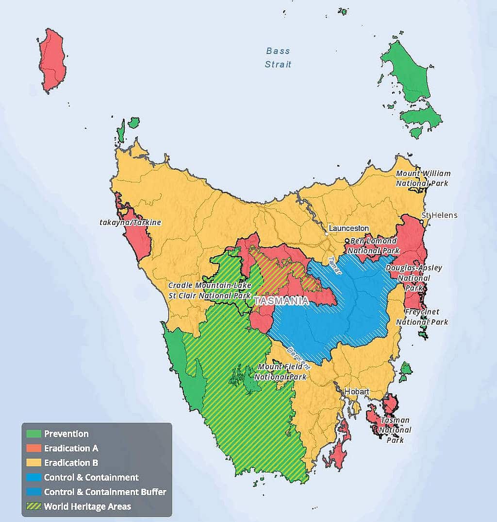 Feral Deer Control a Strategy for Tasmania Tasmanian Times