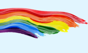 'Vigils for Inclusion' Targetting Christian Lobby 24