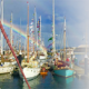 Wooden Boat Festival Now Scheduled for Feb 2023 23
