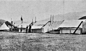 Tas That Was – Camp at the Domain 25
