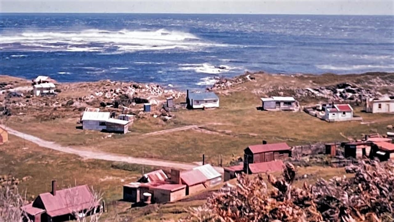 Tas That Was Trial Harbour Tasmanian Times