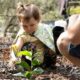 In Pandemic Times Wattle Urges Us to Do It for Australia 27