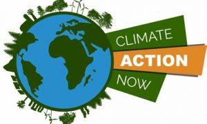 Clarence Climate Action Expo 7