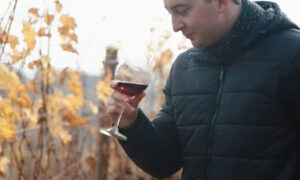 'An Honest Tasmanian Tourism Ad' 5
