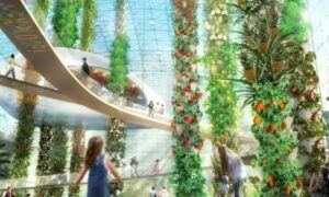 Podcast - Better Food Systems for Healthier Cities 5