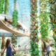 Podcast - Better Food Systems for Healthier Cities 6