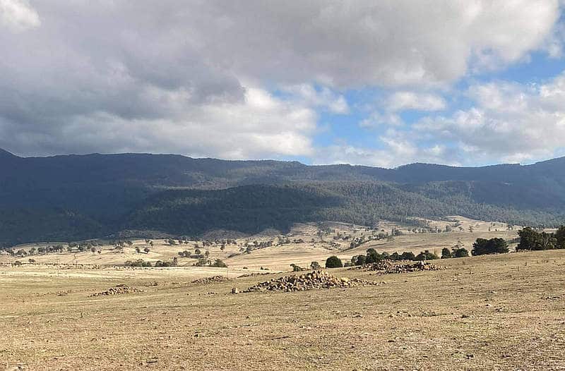 $3.5m to Tackle Statewide Weeds Projects 1