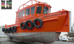 'Mini Orange Roughy' Free to Good Home 33