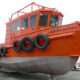'Mini Orange Roughy' Free to Good Home 34