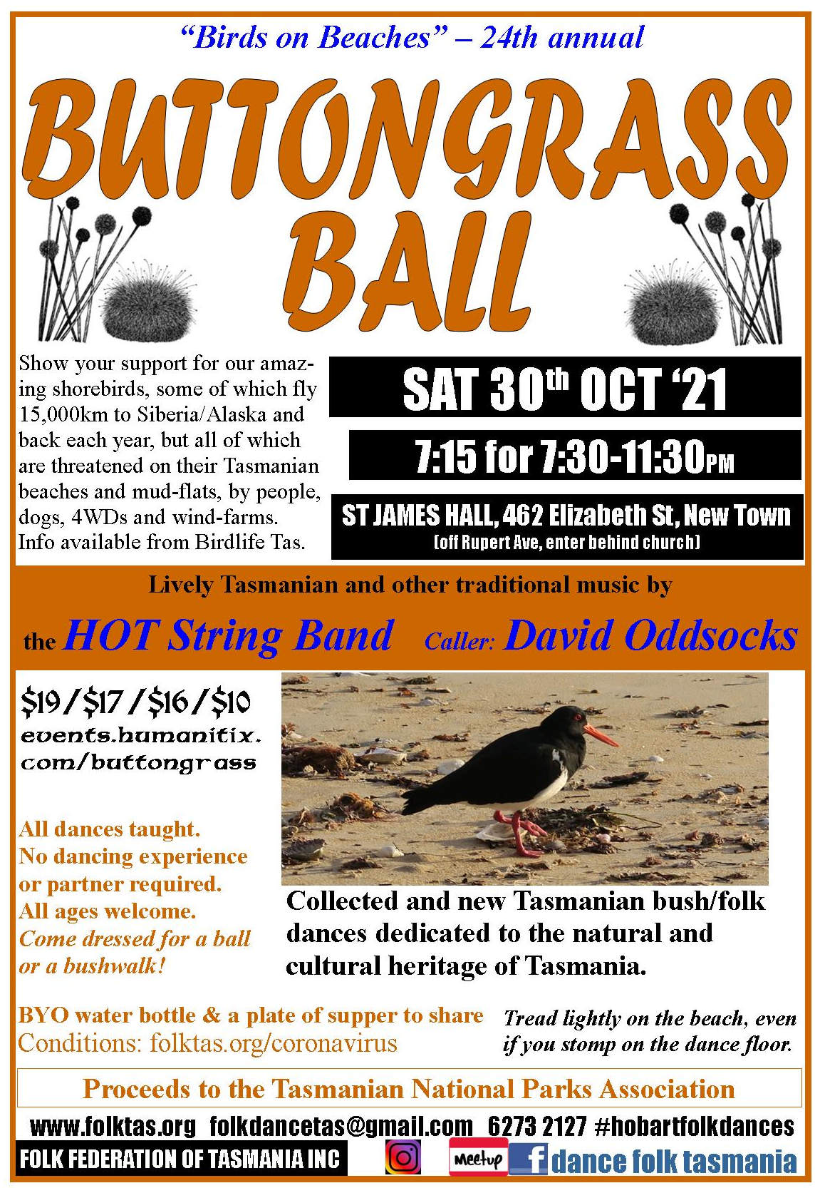 'Birds on Beaches' Buttongrass Ball 4