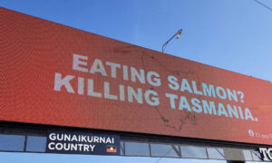 Responses to Anti-Salmon Campaign 24