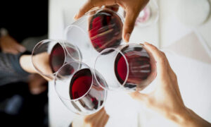 Shiraz Off and Running in Tasmania 16