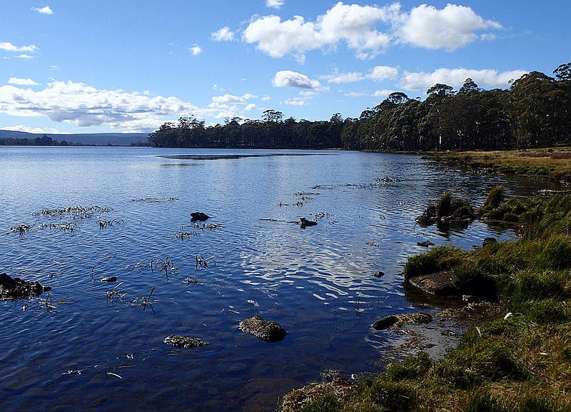 NTAG: 'No Social Licence' for Wind Farm 1