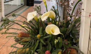 SpringFling in Burnie 27