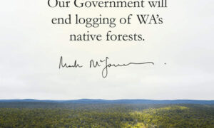 WA Ends Native Forest Logging 5