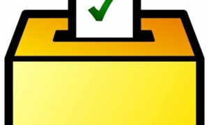 Electoral Reform Consultation 15