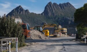 Why is the Government Proposing to Build a Cableway to Cradle Mountain? 8