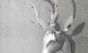 Review of Wildlife Regulations 5