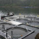 Salmon Farming ... 16