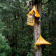 Big Canopy Campout 8