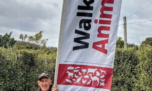 Ivan Davis to Finish 345km Walk For Animals 10