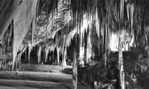 Tas That Was – Newdegate Cave 26