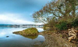 Next Stage of kanamaluka/Tamar Estuary Consultation 11