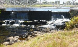 The (Waratah) Dam Busters 22