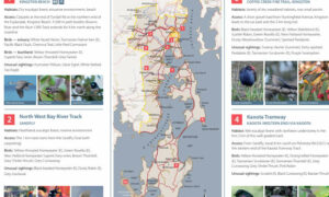 New Kingborough Bird Brochure 5