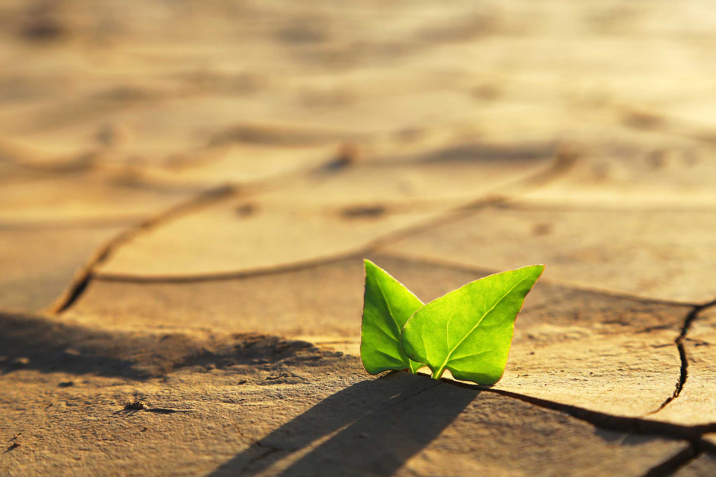 Children Deserve Answers to Climate Change Questions 1