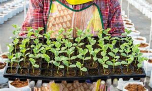 Horticulture Class Hones Business Skills 19