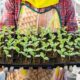 Horticulture Class Hones Business Skills 20