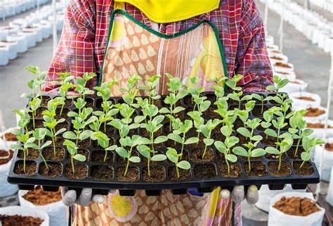 Horticulture Class Hones Business Skills 1