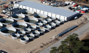 Forrest, Flanagan Back Land-Based Aquaculture 7