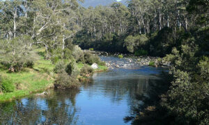 National Water Week 7