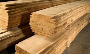 EPA Approves Wynyard Sawmill Expansion 17