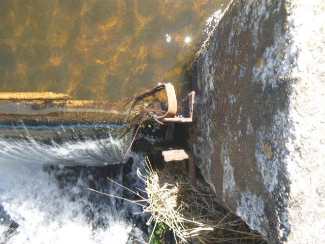 The (Waratah) Dam Busters 4 The (Waratah) Dam Busters 4