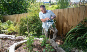 Water Conservation Vital Even Though Rainy Conditions are Predicted 21