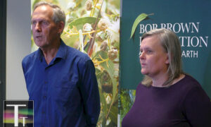 Bob Brown: Show Us Your Forests Plan, PM 18
