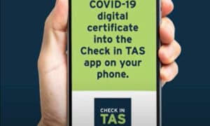 Check in Tas App Update 13