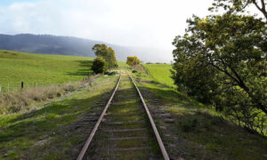 Derwent Valley Rail Trail An Opportunity Overlooked 16