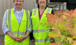 New Forico Directors 17