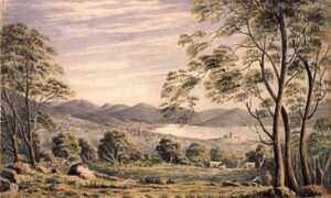 Hobart Study on Attitudes to Bushfire Preparation 42