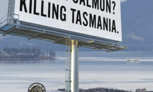 Hobart Town Hall Meeting on Salmon Farming 30