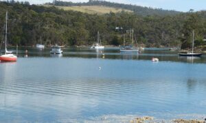 EPA Approves Move of Port Cygnet Effluent Discharge 12