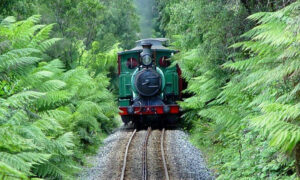 Stakeholders To Discuss Future Of West Coast Railway 5