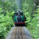 Stakeholders To Discuss Future Of West Coast Railway 6