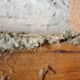 Webinar: Managing Asbestos in Workplaces 19