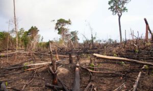 End of Tourism - Forestry Protocol 5